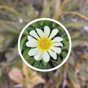 学生18和老师做爱摸胸
