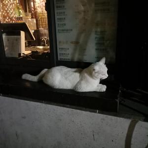 学生18和老师做爱摸胸
